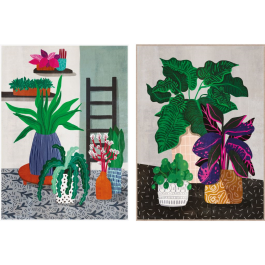 DKD Home Decor Cuadro Scandi Plantas Verde Multicolor Lienzo 72x52 cm Set 2 Unidades