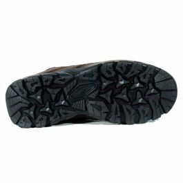 Botas de Montaña Hi-Tec Torca Pro Low Wp Marrón