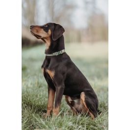 Hunter Collar Inari Alu-Strong L para Perro, Cuello 40-55 cm, 20 mm Ancho, Verde, Ajustable, Cierre Alu-Strong 200kg
