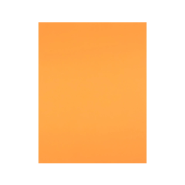 Liderpapel Cartulina 50x65 cm 240 g/m2 Nectarina para Dibujo y Manualidades