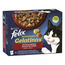 Felix Sensations Sab-Campo Jelly 6x12x85, Comida para Gatos, 100% Completo y Equilibrado, Omega 6, Sin Aromas Artificial Precio: 66.1023. SKU: B182WQDMGP
