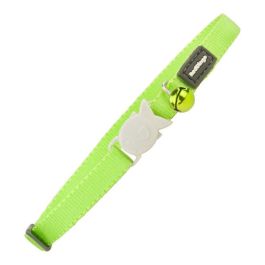 Red Dingo Collar para Gato Liso Lima con Cierre de Seguridad Pez y Cascabel, Nylon Resistente 12mm x 20-32cm Precio: 6.7899997. SKU: S6100607