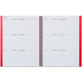 Additio Cuaderno Aula Planner Catalán DIN A4 160 Páginas Plan Anual y Mensual con Programación y Evaluación