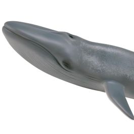 Collecta 88834 Ballena Azul XL, Figura Animal Marino Detallada y Realista. Nuevo Modelo Gris Sombreado Ideal para Niños +3 Años Collecta 88834 Ballena Azul XL, Figura Animal Marino Detallada y Realista. Nuevo Modelo Gris Sombreado Ideal para Niños +3 Años