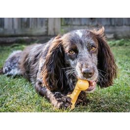 Nylabone Dura Chew Cheese Bone M Hueso Masticable para Perros Fuertes Sabor Queso Nylon Larga Duración Precio: 8.49999953. SKU: S6102228