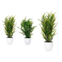Maceta Planta Helechos Verdes Surtidos Ibergarden 20X53CM (6 Unidades) Precio: 51.89000058. SKU: B1FAVDTR3B