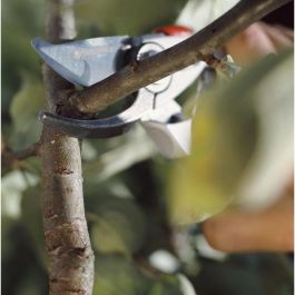 Gardena BP 50 Premium Tijeras de podar ergonómicas con mangos de aluminio, contracuchilla forjada, corte 22 mm Gardena BP 50 Premium Tijeras de podar ergonómicas con mangos de aluminio, contracuchilla forjada, corte 22 mm