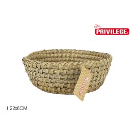 Cesta Cónica de Mimbre Redonda 22x8 cm - Privilege (24 Unidades)