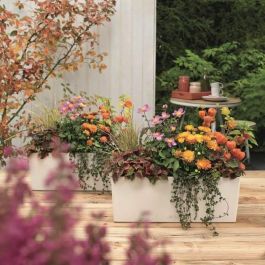 Lechuza 15670 LEC4008789156709 Jardinera Balconera Color 50 Todo en Uno Blanca