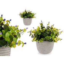 Ibergarden Planta Verde Flor Lila con Maceta Gris 21x20.6x21 cm (Set de 8) Precio: 51.49999943. SKU: S3610084