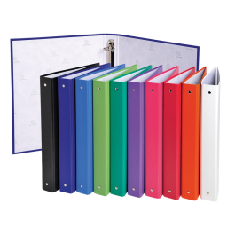 Exacompta Carpeta de 2 anillas 30mm A4 carton forrado colores surtidos