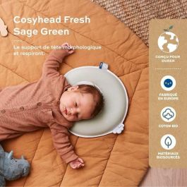 Babymoov BAB3661276188624 Reposacabezas Bebé Cosyhead Soporte Morfológico Algodón Orgánico Oeko-Tex Verde Salvia Babymoov BAB3661276188624 Reposacabezas Bebé Cosyhead Soporte Morfológico Algodón Orgánico Oeko-Tex Verde Salvia