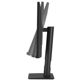 ASUS Business HA2441A Monitor 60.5 cm 16:9 WQHD IPS Anti-reflejos 75Hz 5ms Negro