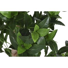 DKD Home Decor Árbol Tropical Topiario Artificial de PE y Madera Verde Marrón 150 cm Alto - Pack de 2 Unidades