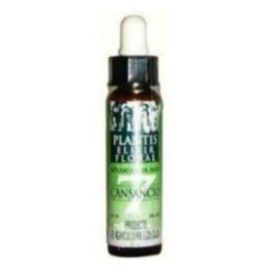Plantis Remedio Nº 7 Cansancio Eco 10ml - Ayuda a la Recuperación en Debilidad Física y Mental Precio: 12.5900005. SKU: B14V3TZZLR