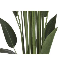 DKD Home Decor Planta Tropical Ave de Paraiso Verde 80 x 180 x 80 cm (2 Unidades)