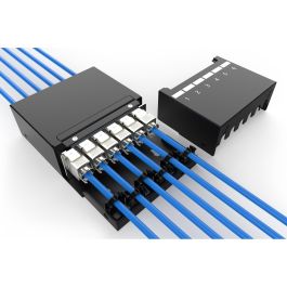 Digitus Konsolidierungspunkt-Box para 6 Puertos Módulos Keystone