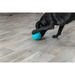 Juguete para perros Trixie Azul Caucho Plástico TPR Ø 14 cm Snacks