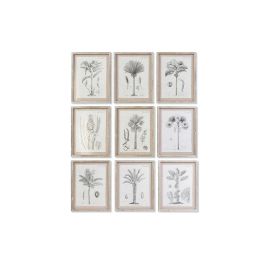Cuadro Colonial DKD Home Decor Gris Beige 1.8 x 45 x 35 cm (9 Unidades) Precio: 237.89000026. SKU: B1K73YL9BK