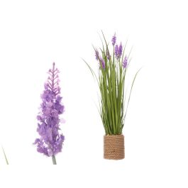 Ramillete Cuerda Lavanda Ibergarden 30X70CM (3 Unidades) Precio: 30.9899997. SKU: B1DCPYY2R4