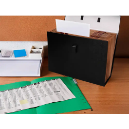 Liderpapel Maletín Clasificadora con Fuelle y Asa, 19 Departamentos, Cartón Forrado, Negro, 390x255x120 mm