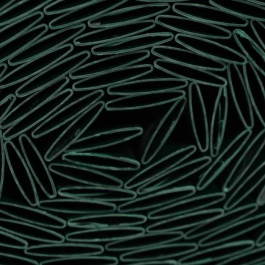 Nature NAT8711338532201 Pantalla de Caña de PVC Doble Cara 1 x 3 m 1600 g/m² Opaco Anti-UV Verde