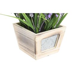Planta Shabby DKD Home Decor Lila 24 x 24 x 24 cm (6 Unidades) Planta Shabby DKD Home Decor Lila 24 x 24 x 24 cm (6 Unidades)