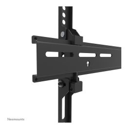 Neomounts WL30-350BL14 Soporte Fijo Pared 32-65" Hasta 40 kg VESA 50x50-400x400 3,9 cm Negro