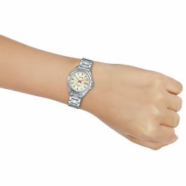 Reloj Mujer Casio LADY DATE - CHAMPAGNE (Ø 31 mm)