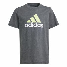 Camiseta de Manga Corta Infantil Adidas Essentials Big Logo Gris Precio: 24.4541. SKU: B12SYTB323