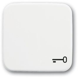 BUSCH-JAEGER 2520TR-214 Tapa para Pulsador con Símbolo Llave Reflex SI Alpinweiß Precio: 10.0793. SKU: B1J46TA3V7