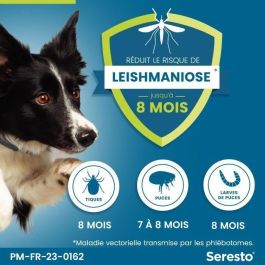 Seresto Collar Antiparasitario para Perro Grande X2 - Protección 7-8 Meses contra Pulgas, Garrapatas y Leishmaniasis