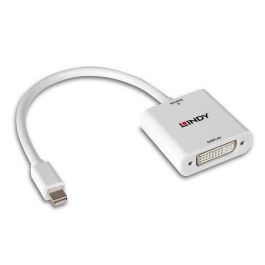 Lindy Mini DisplayPort to DVI Converter Lindy Mini DisplayPort to DVI Converter