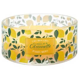 Home Deco Factory Vela Citronela Antimoustique 4 Mechas Vidrio 760g d.19cm h.7,5cm 25h