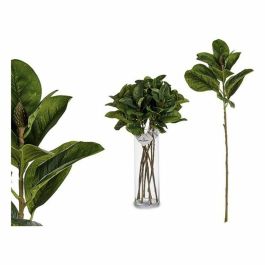 Ibergarden Rama Hojas Punta, Plástico Verde, 17x80x24 cm (24 Unidades) Precio: 66.59000018. SKU: S3606028