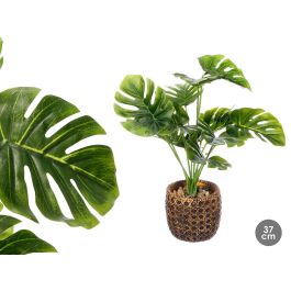 Ibergarden Maceta para Planta Hoja Costilla, de Plástico y Magnesio, Verde, 19x37x19 cm (8 Unidades) Precio: 51.68999968. SKU: B1JMG4WJ6X