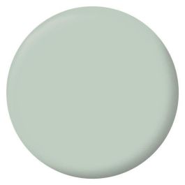 RIPOLIN Pintura Terciopelo Color para Paredes, Carpintería de Radiadores - Verde Palatino RIPOLIN Pintura Terciopelo Color para Paredes, Carpintería de Radiadores - Verde Palatino