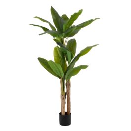 Planta Hoja Banano Verde Artificial 93 X 90 X 190 cm Precio: 115.5066. SKU: B12MGLHL3K