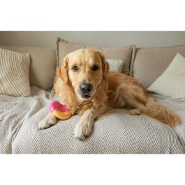 Mordedor de perro Nylabone Rosa Bacon L