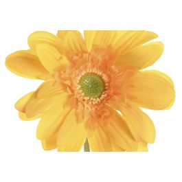 DKD Home Decor Flor Crisantemo Tacto Real Amarillo Blanco 12 x 67 x 12 cm (12 Unidades)