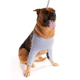Petmed Protector De Higroma Dry Confort T7 1Ud Precio: 48.89000039. SKU: B18RQHP8J2