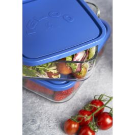 Borgonovo Fiambrera Rectangular 23.5 x 17.5 cm con Tapa Azul Colección Igloo (6 Unidades)