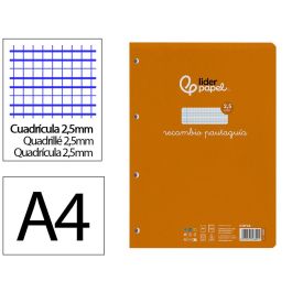 Recambio Liderpapel A4 Pautaguia 100 Hojas 75 gr-M2 Cuadriculado Pautado 2,5 mm Con Margen 4 Taladros Precio: 2.78999985. SKU: B199KKD2GW