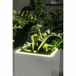 Lechuza LEC4008789137838 Macetero Canto Premium Cube 40 kit LED completo antracita metalizado