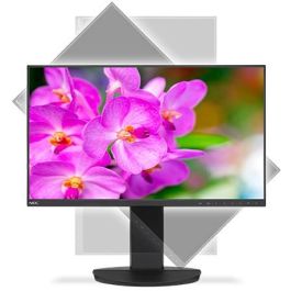 SHARP NEC Monitor EA241F 24" IPS Full HD 1920x1080 Negro