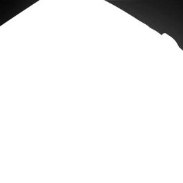 HP Professional 17.3-inch Backpack