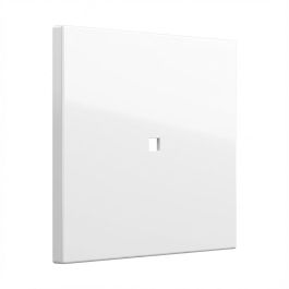 GIRA 329003 Wippe Kontrollf. System 55 Reinweiß Precio: 10.0793. SKU: B1AVQ7HWME