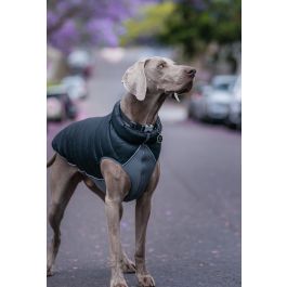 Red Dingo Abrigo Puffer Acolchado Reversible Negro-Gris 25cm para Perro, con Panel de Neopreno y Ribetes Reflectantes de Seguridad