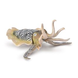 Collecta 80009 - Figura Réplica Sepia Común XL realista a escala, pintada a mano y modelada al detalle (+3 años) Precio: 9.9583. SKU: B17WTLAT4A
