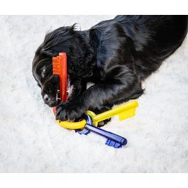 Nylabone Mordedor para Cachorros Teething Keys M Juguete Alivio Dentición Texturizado Sabor Bacon Nylon Higiene Dental y Masticación Positiva